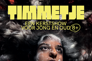 Logo van "timmetje"