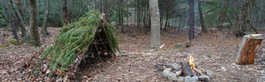 Wildernis, alleen, overleven, survival